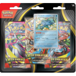 Pokémon Mega Evolution...