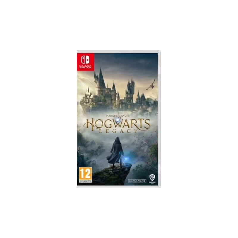 hogwarts legacy switch