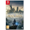 hogwarts legacy switch